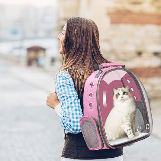 Sac de transport transparent pour chat