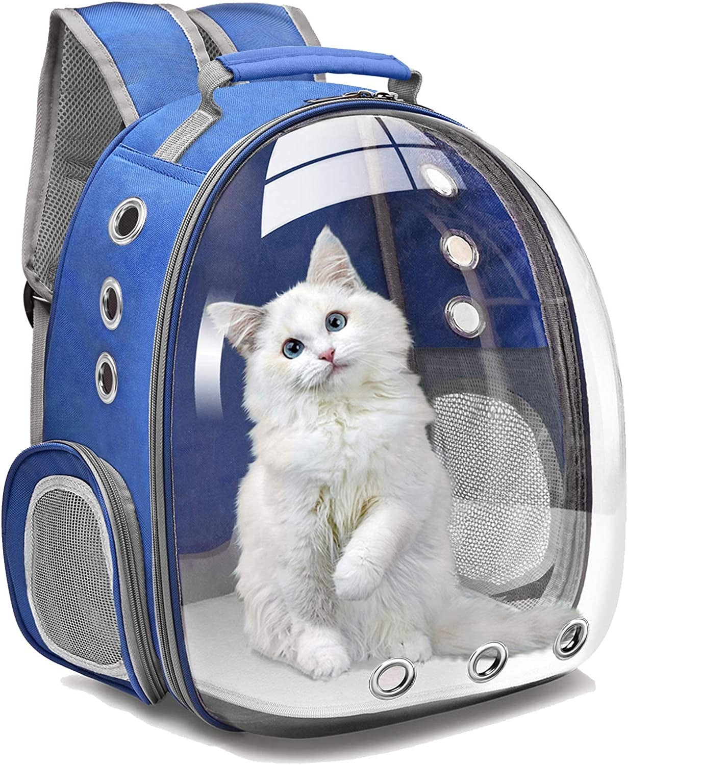Sac de transport transparent pour chat