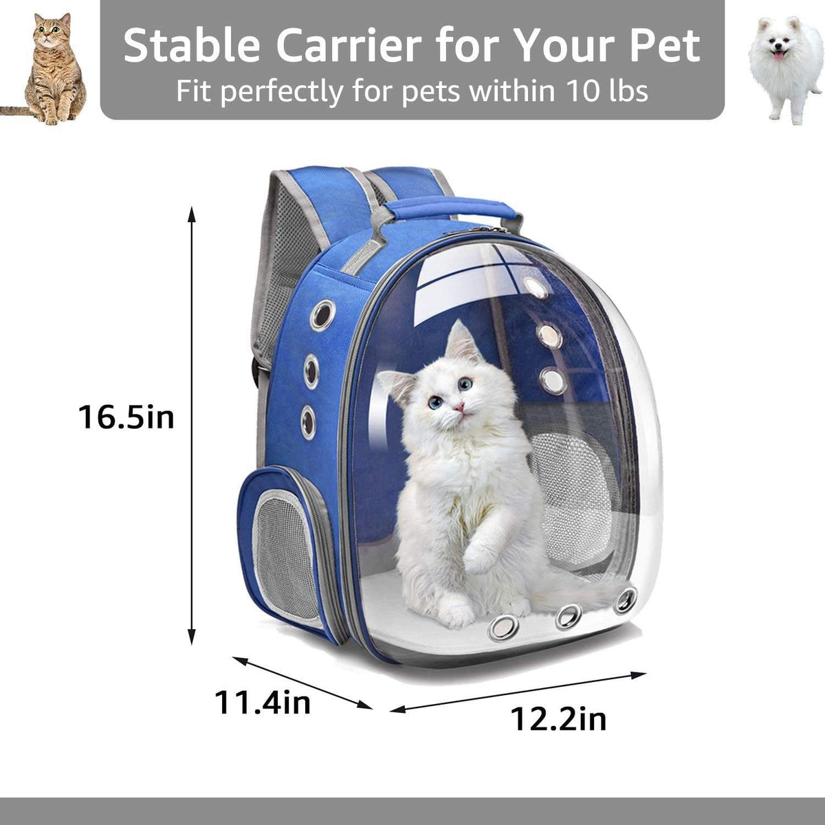 Sac à Dos pour Animaux de Compagnie